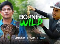 BORN TO BE WILD JULY 21 2024 Today Episode