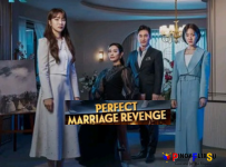 Perfect-Marriage-Revenge